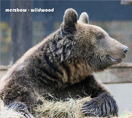Merzbow: Wildwood CD Album