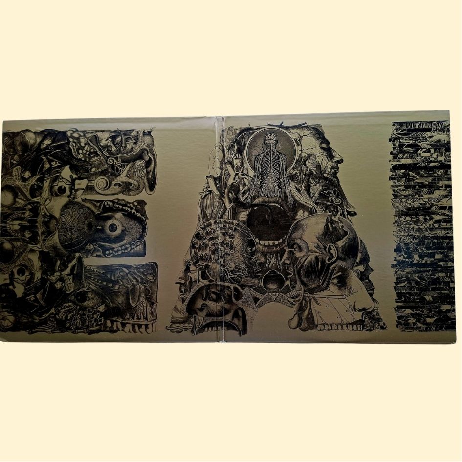 Boris: Dear Double Vinyl Album Japanese Rock
