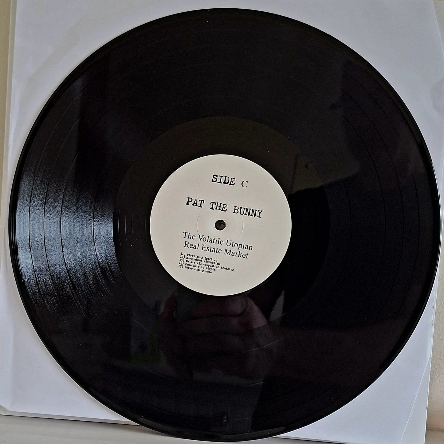 Pat The Bunny: The Volatile Utopian Real Estate Market Double Vinyl Album