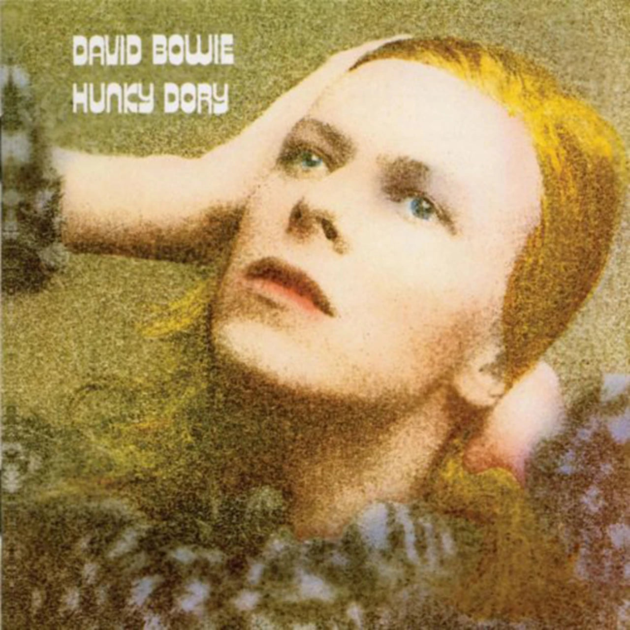 David Bowie: Hunky Dory Vinyl Album
