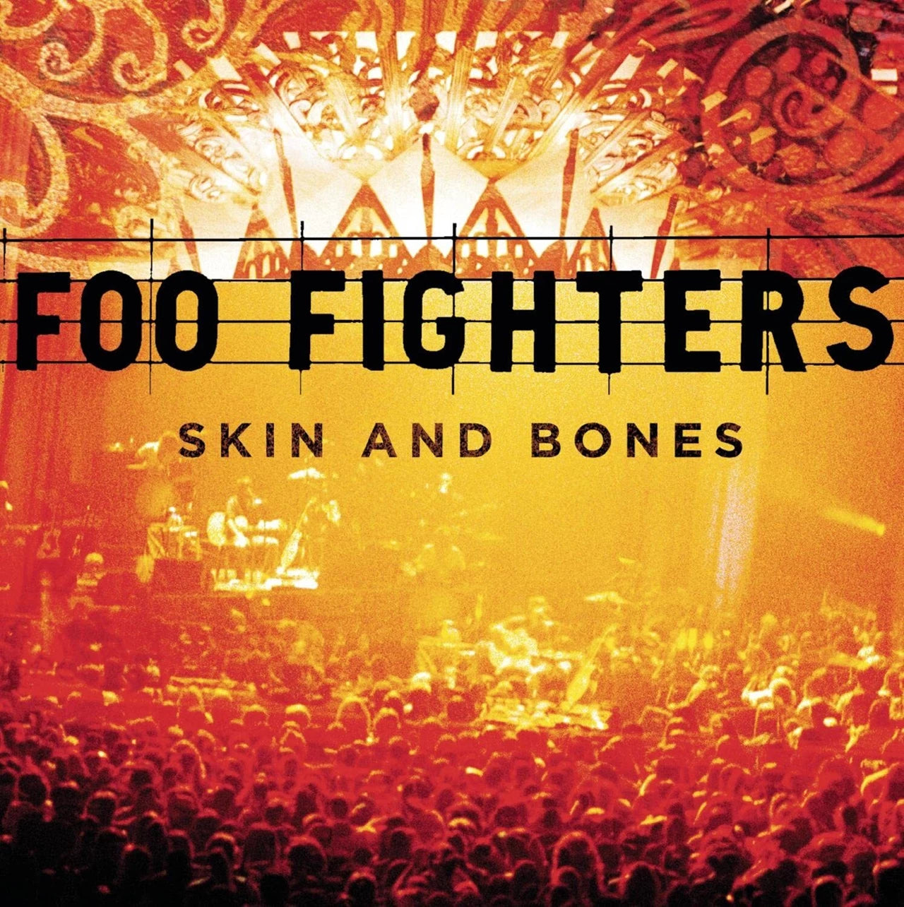 Foo Fighters - Skin And Bones: Double LP