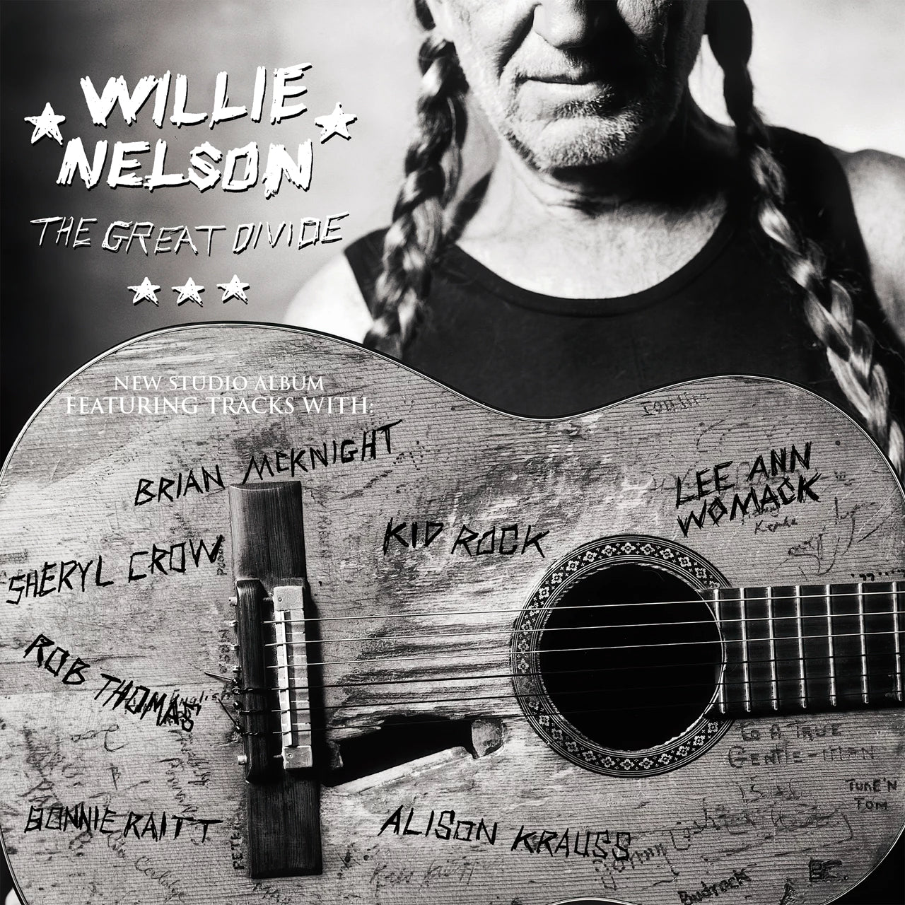 Willie Nelson: The Great Divide Vinyl Album New & Sealed